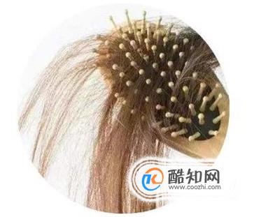 ��α���Լ���ͷ���������ַ��ʣ�����